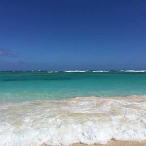 Meet your Posher, Isla